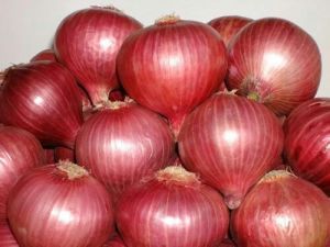 Fresh Nashik Onion