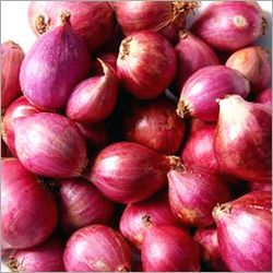 Fresh Sambar Onion