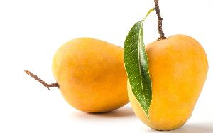 A Grade Kesar Mangoes