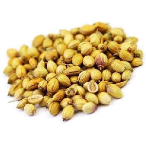 dry coriander seeds