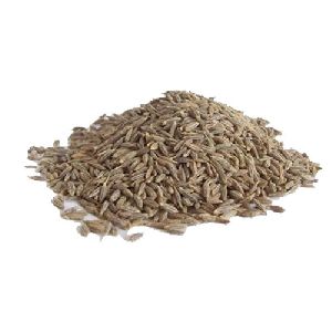 Dry Cumin Seeds