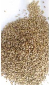 Natural Split Coriander Seeds