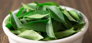 Organic Curry leaves