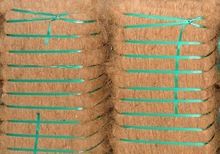 Coir Fiber Pith