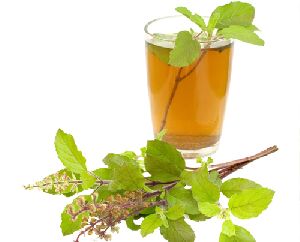 Ayurvedic Tulsi Oil