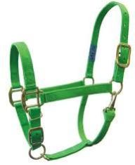 Green Horse Nylon Halter