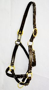 Horse Halters