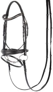 Stylish Horse Bridle