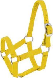 Yellow Horse Nylon Halter