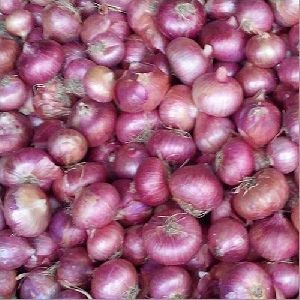 Fresh Pink Onion