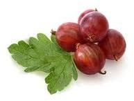 Fresh Red Gooseberry