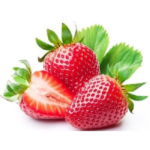 Fresh Red Strawberry