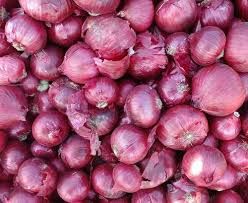 Indian Red Onion