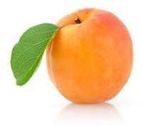 Organic Apricot