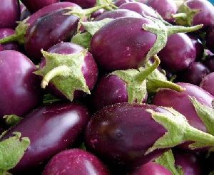 Organic Eggplant