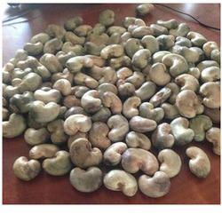 Indian Raw Cashew Nuts