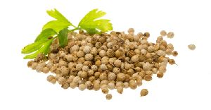 Natural Coriander Seeds