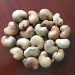 Natural Raw Cashew Nuts