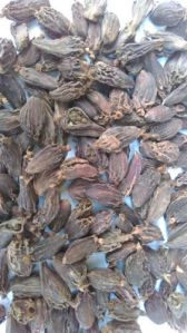 Organic Black Cardamom