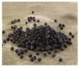 Organic Black Pepper Seeds