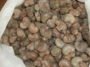 Raw Cashew