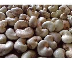 Whole Raw Cashew Nuts