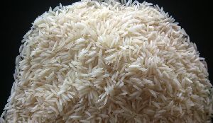 Steamed Basmati Rice