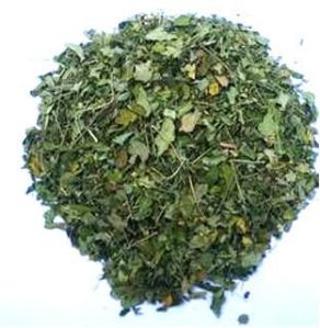 Moringa Natural Dry Leaves