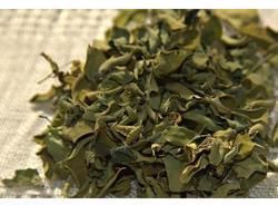 Organic Moringa dried Leaves