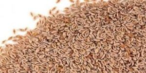 Psyllium Husk (Isabgol)