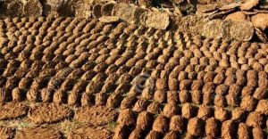 Desi Cow Brown Dung Cake