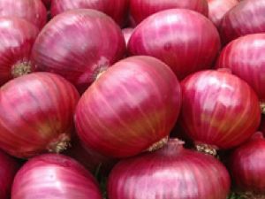 Big Red Onion