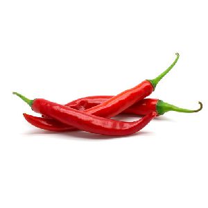 Fresh Red Chilli