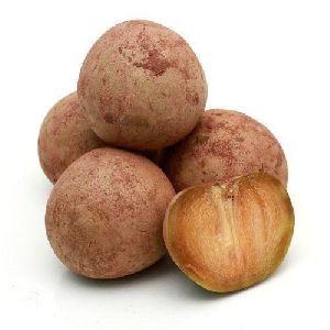 Fresh Sapota