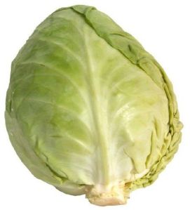 Organic Cabbage