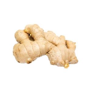 Organic Ginger