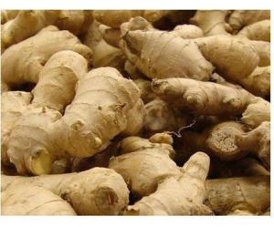 raw fresh ginger