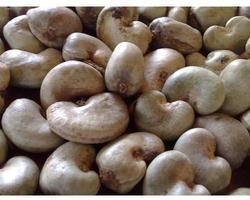 Dried Raw Cashew Nuts