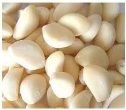 Dehydrated Peeled Garlic