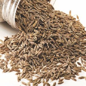 Dried Cumin Seeds