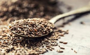 Fresh Natural Cumin Seeds