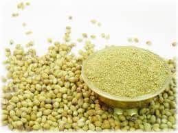 Fresh Organic Coriander Powder