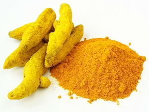 Fresh Turmeric