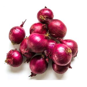 Indian Red Onion