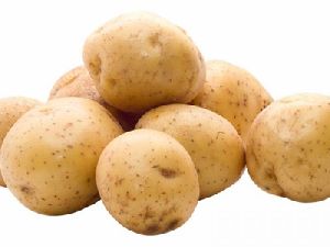 Premium Potato