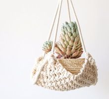 Cotton Rope Wall Hangings