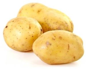 Fresh Brown Potato