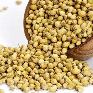 Natural Coriander Seed