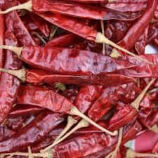 Rich Color Dried Red Chilli