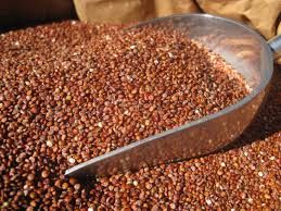 Quinoa Seeds